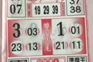 3/11今彩539參考看