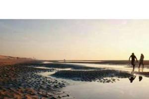 3/11今彩539參考看