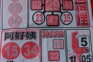 3/12龍報>>六合彩參考看