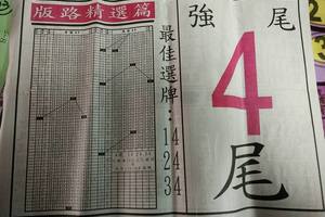 3/12馬上發>>>六合彩參考看