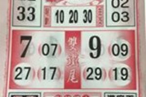 3/12今彩539參考看