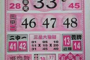 3/15六合彩參考看看
