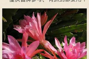 3/15六合彩低g參考看看