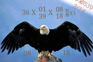 3/14今彩539參考看看