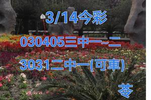 3/14今彩539參考看看
