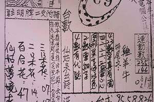 3/15七仙姑>>>六合彩參考看