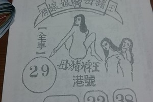 3/15豬母娘娘>>>六合彩參考看