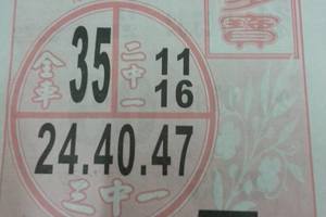 3/15福多寶>>>>六合彩參考看