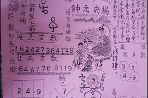 3/15代天宮>>>>六合彩參考看