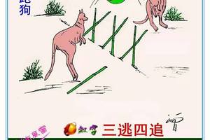 3/15新報跑狗>>>六合彩參考