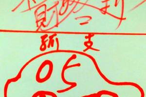 3/15六合彩參考看看