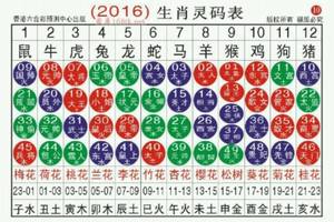 3/15香港六合彩參考看>>>2016生肖號碼表