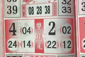 3/15今彩539參考看