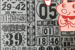 3/15六合彩參考看看