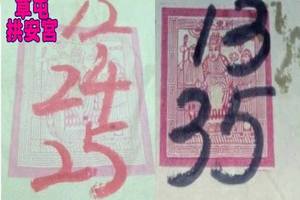 3/15草屯振安宫>>>>六合彩參考看