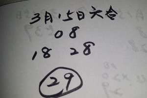 3/15六合彩>>>參考看