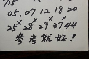 3/15六合彩參考看