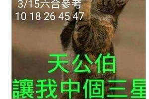 3/15六合彩參考看