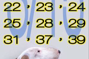 3/15今彩539不出牌參考看