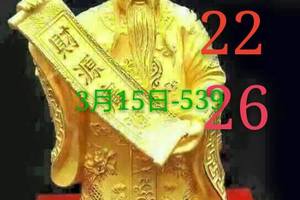 3/15今彩539參考看