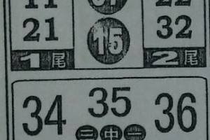 3/15今彩539參考看