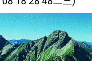 3/15港號參考看看>>>祝中獎