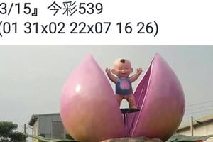 3/15今彩539參考看