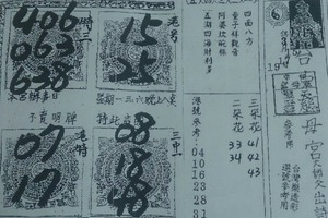 3/17台中慈母宮>>>>六合彩參考看