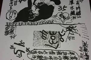 3/17 慶安宮>>>六合彩參考看