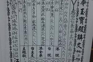 3/17龍華>>>>六合彩參考