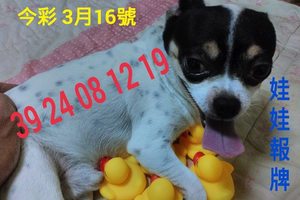 3/16今彩539參考看看