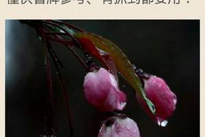 3/17六合彩低g參考看