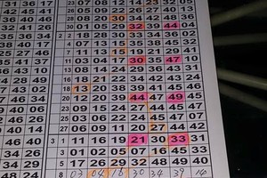 3/17六合版路參考>>>>13.31二星參考看