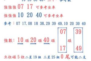 3/17六合彩參考看看