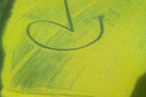 3/17神明牌>>>>六合彩參考看