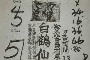 3/17白鶴仙姑>>>>六合彩參考看