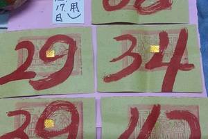 3/17神明牌>>>六合參考看