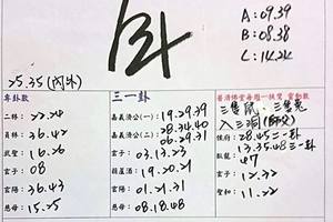 3/17石頭公靈卦>>>>六合彩參考