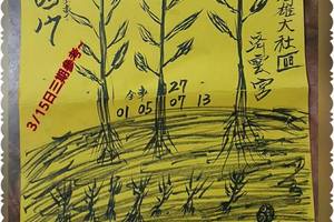 3/17高雄大和區炆雲宮>>>六合彩參考看