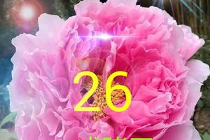 3/17今彩539坐車26>>>參考看看>>>祝大家今晚領紅包