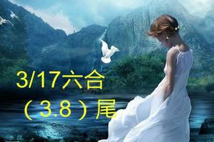 3/17六合彩參考看看>>>3尾8尾參考看>>>>祝大家今晚中大獎
