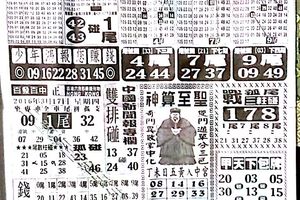 3/17中國新聞報>>>>>六合彩參考