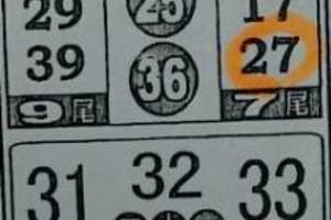 3/17今彩539參考看看