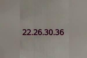 3/17今彩539參考看看