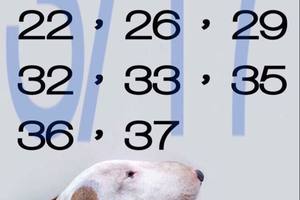 3/17今彩539不出牌>>>參考看看