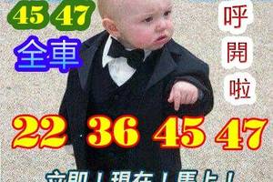 3/17六合彩參考看看