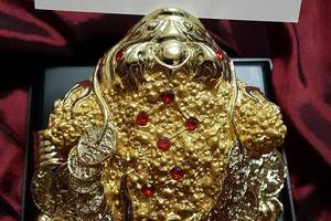 3/17我的仙姑報牌囉>>>大家可以座車看看>>>>祝中車車