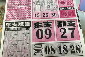 3/18天天今彩>>>>參考看看>>>祝大家中頭獎