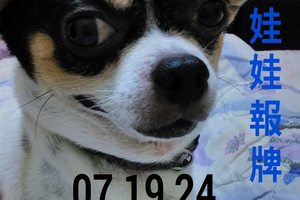 3/18今彩539參考看看