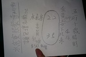 3/19水底寮>>>六合彩參考看看